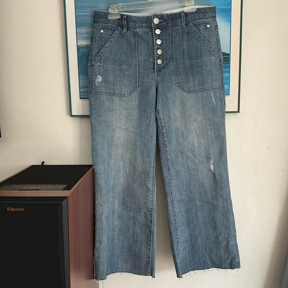 NWOT DEMOCRACY high rise ab technology fly button wide leg ankle jeans  size 12 - Picture 2 of 6